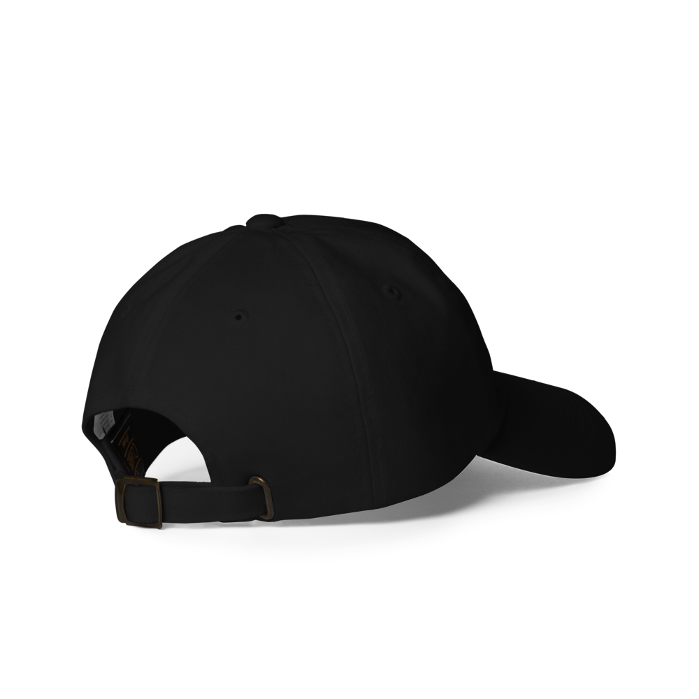 Too Pretty To Be Straight - Dad Hat