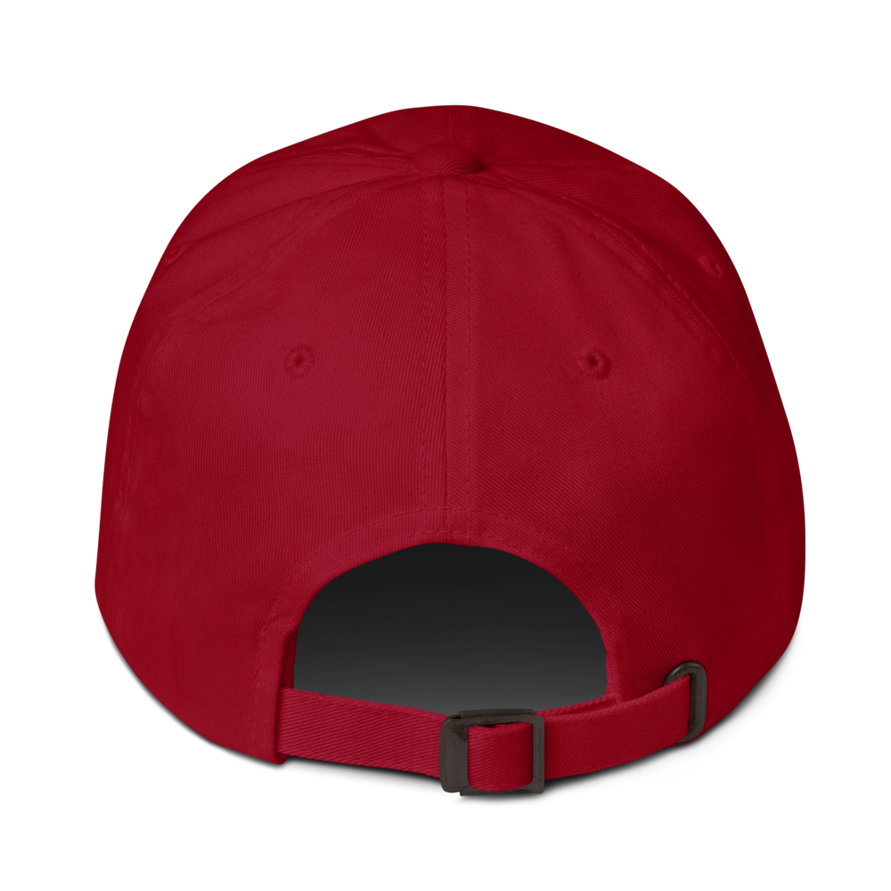 Too Pretty To Be Straight - Dad Hat